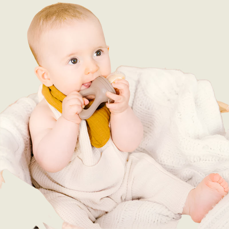 Baby Food Feeder